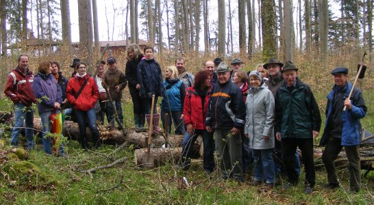 Tag des Baumes 2012