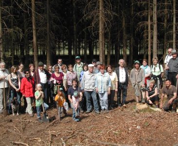 45 Vogelkirschen gepflanzt